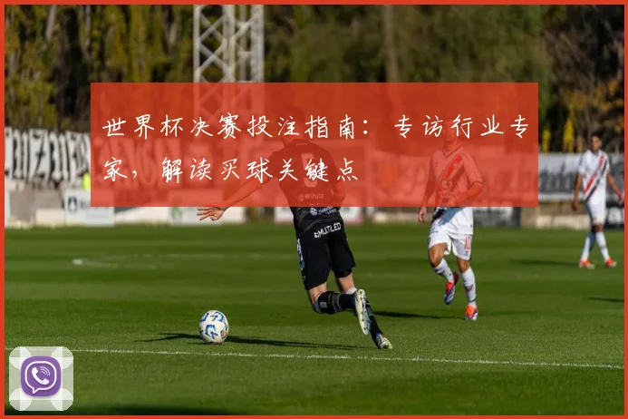 世界杯决赛投注指南：专访行业专家，解读买球关键点