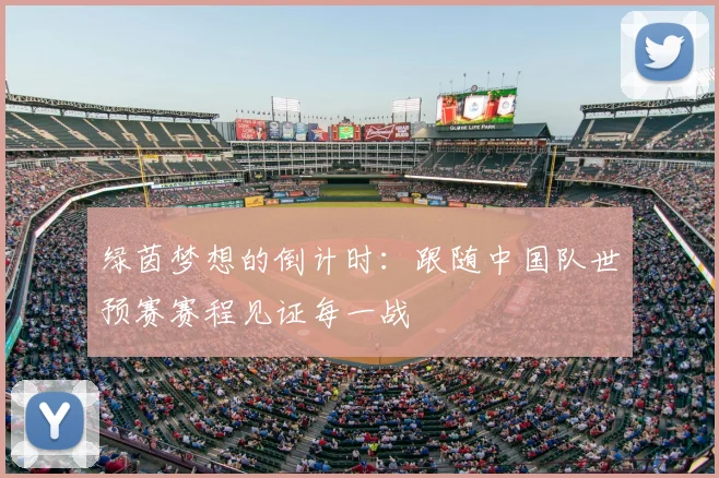绿茵梦想的倒计时：跟随中国队世预赛赛程见证每一战