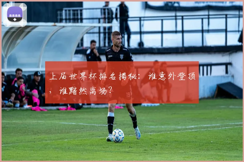 上届世界杯排名揭秘：谁意外登顶，谁黯然离场？
