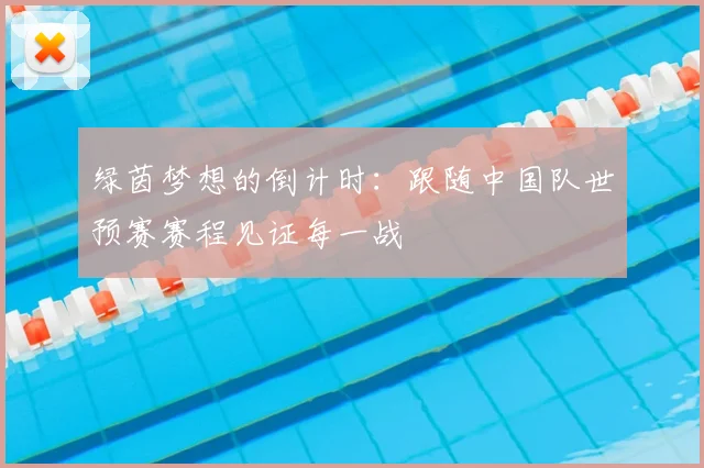 绿茵梦想的倒计时：跟随中国队世预赛赛程见证每一战