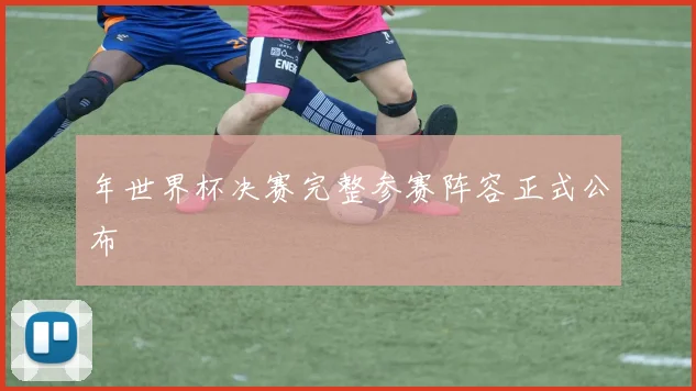年世界杯决赛完整参赛阵容正式公布