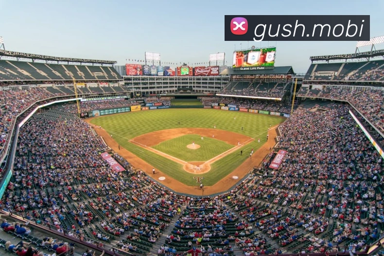 奇异果体育官方平台生态图